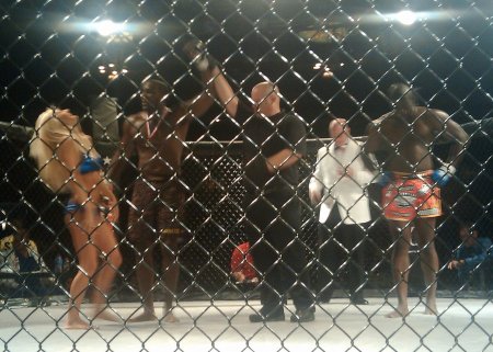 Artineas Young's Victory