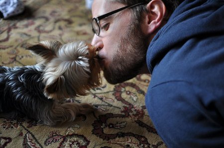 editors note: Tal is not marrying the pooch.